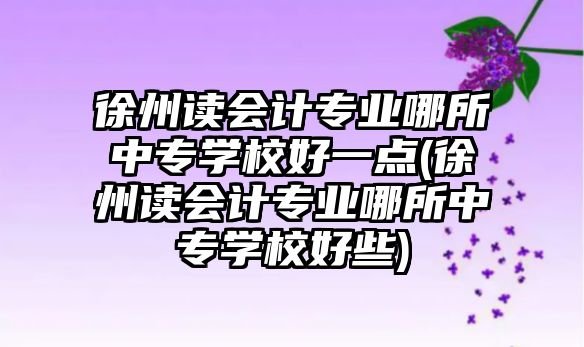 徐州讀會計專業(yè)哪所中專學校好一點(徐州讀會計專業(yè)哪所中專學校好些)