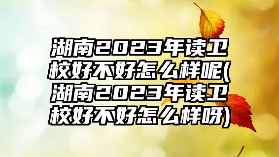 湖南2023年讀衛(wèi)校好不好怎么樣呢(湖南2023年讀衛(wèi)校好不好怎么樣呀)