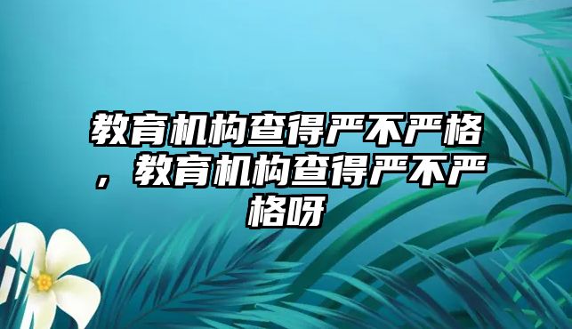 教育機構(gòu)查得嚴(yán)不嚴(yán)格，教育機構(gòu)查得嚴(yán)不嚴(yán)格呀