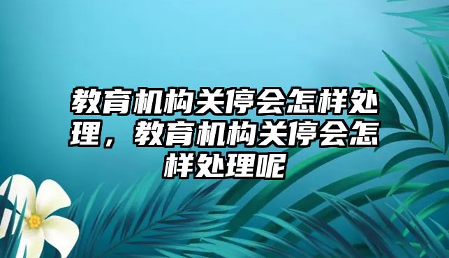 教育機構關停會怎樣處理，教育機構關停會怎樣處理呢