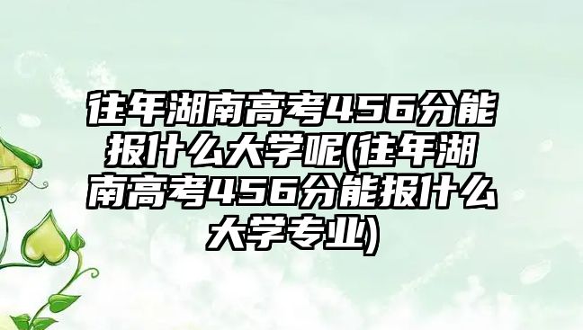 往年湖南高考456分能報(bào)什么大學(xué)呢(往年湖南高考456分能報(bào)什么大學(xué)專業(yè))