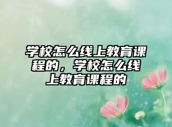 學(xué)校怎么線上教育課程的，學(xué)校怎么線上教育課程的