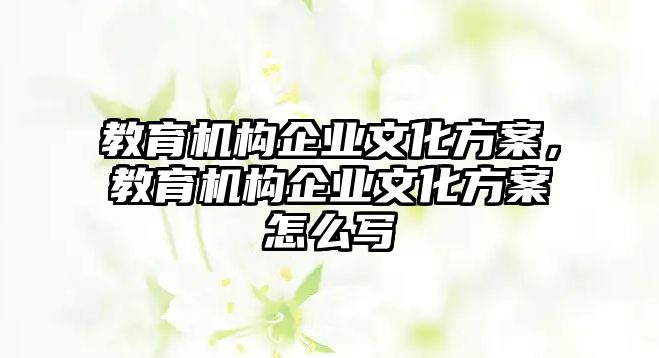 教育機構企業(yè)文化方案，教育機構企業(yè)文化方案怎么寫