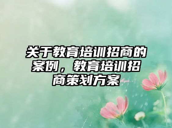 關于教育培訓招商的案例，教育培訓招商策劃方案