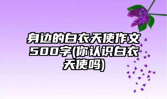 身邊的白衣天使作文500字(你認(rèn)識白衣天使嗎)