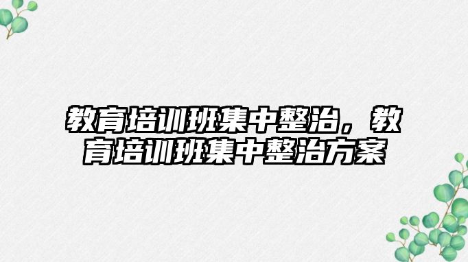 教育培訓(xùn)班集中整治，教育培訓(xùn)班集中整治方案