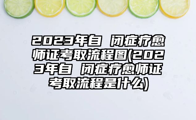 2023年自 閉癥療愈師證考取流程圖(2023年自 閉癥療愈師證考取流程是什么)