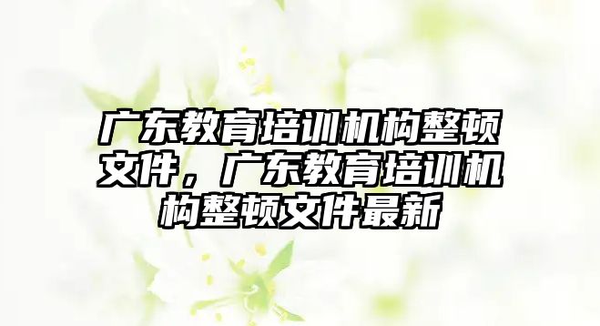 廣東教育培訓(xùn)機(jī)構(gòu)整頓文件，廣東教育培訓(xùn)機(jī)構(gòu)整頓文件最新