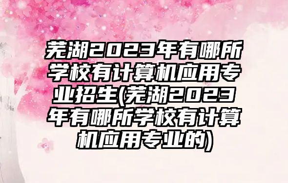 蕪湖2023年有哪所學(xué)校有計算機(jī)應(yīng)用專業(yè)招生(蕪湖2023年有哪所學(xué)校有計算機(jī)應(yīng)用專業(yè)的)