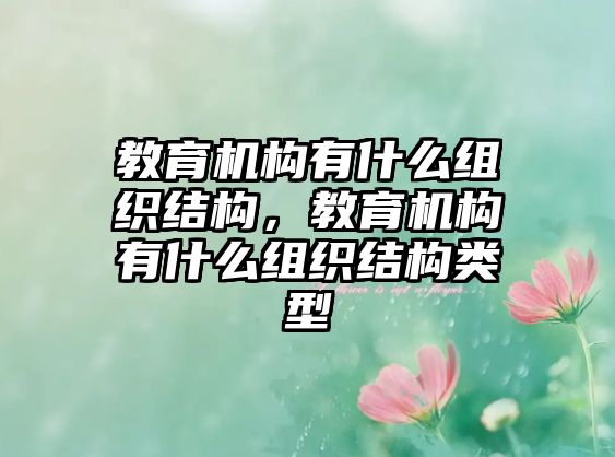 教育機(jī)構(gòu)有什么組織結(jié)構(gòu)，教育機(jī)構(gòu)有什么組織結(jié)構(gòu)類型