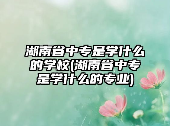 湖南省中專是學什么的學校(湖南省中專是學什么的專業(yè))