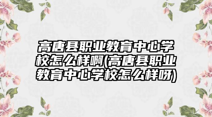 高唐縣職業(yè)教育中心學(xué)校怎么樣啊(高唐縣職業(yè)教育中心學(xué)校怎么樣呀)