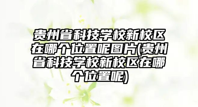 貴州省科技學(xué)校新校區(qū)在哪個位置呢圖片(貴州省科技學(xué)校新校區(qū)在哪個位置呢)