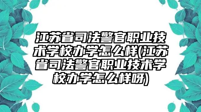 江蘇省司法警官職業(yè)技術(shù)學(xué)校辦學(xué)怎么樣(江蘇省司法警官職業(yè)技術(shù)學(xué)校辦學(xué)怎么樣呀)