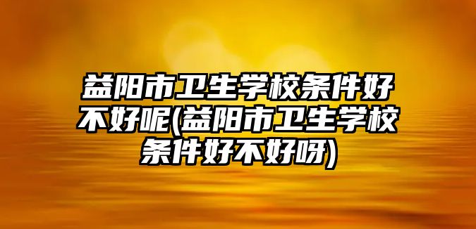 益陽市衛(wèi)生學校條件好不好呢(益陽市衛(wèi)生學校條件好不好呀)