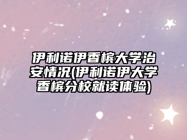 伊利諾伊香檳大學治安情況(伊利諾伊大學香檳分校就讀體驗)