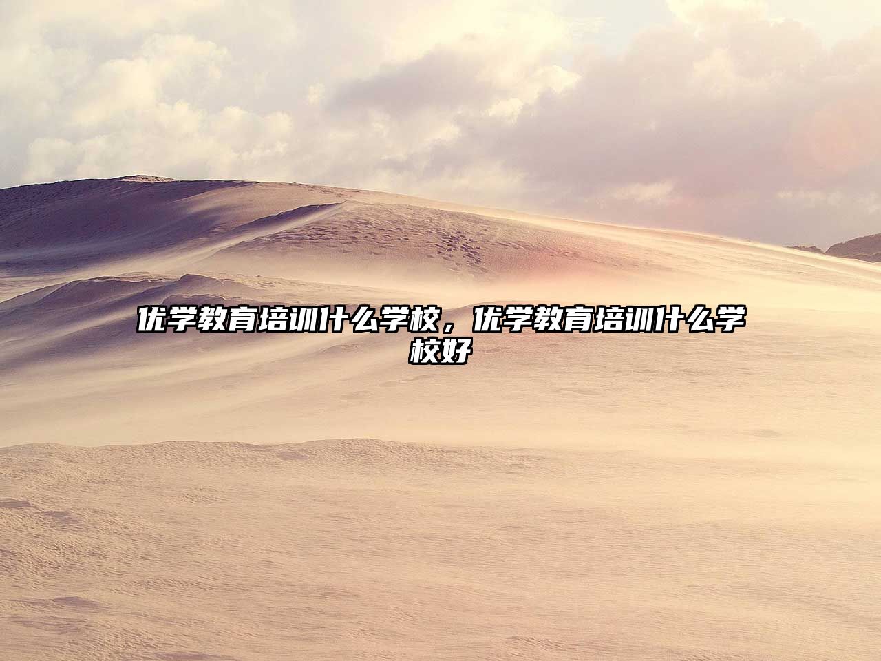 優(yōu)學教育培訓什么學校，優(yōu)學教育培訓什么學校好