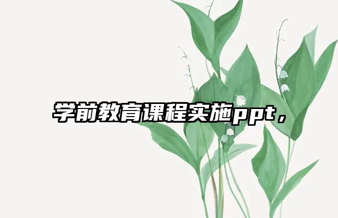 學(xué)前教育課程實(shí)施ppt，