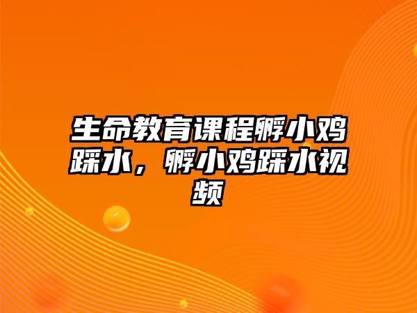 生命教育課程孵小雞踩水，孵小雞踩水視頻