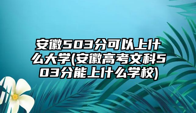 安徽503分可以上什么大學(xué)(安徽高考文科503分能上什么學(xué)校)