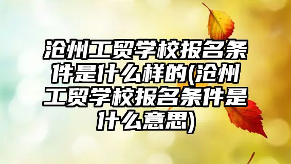 滄州工貿(mào)學(xué)校報名條件是什么樣的(滄州工貿(mào)學(xué)校報名條件是什么意思)