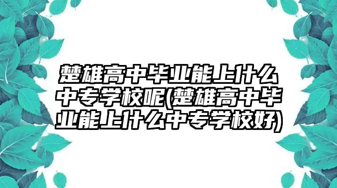 楚雄高中畢業(yè)能上什么中專學校呢(楚雄高中畢業(yè)能上什么中專學校好)