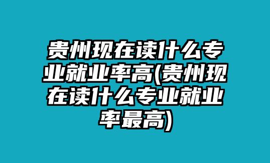 貴州現(xiàn)在讀什么專業(yè)就業(yè)率高(貴州現(xiàn)在讀什么專業(yè)就業(yè)率最高)