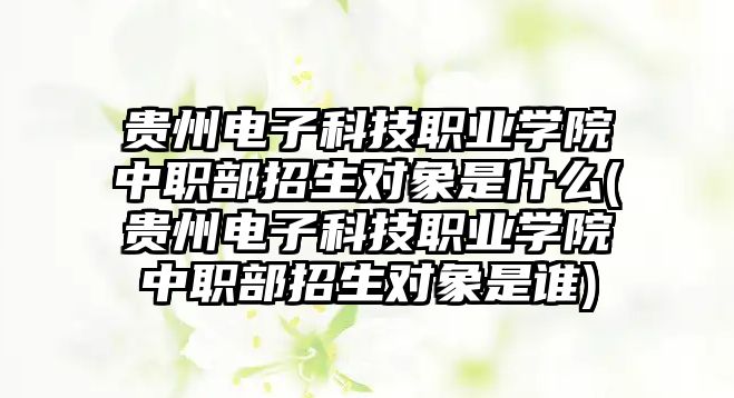 貴州電子科技職業(yè)學(xué)院中職部招生對象是什么(貴州電子科技職業(yè)學(xué)院中職部招生對象是誰)