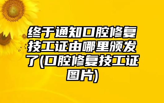 終于通知口腔修復(fù)技工證由哪里頒發(fā)了(口腔修復(fù)技工證圖片)