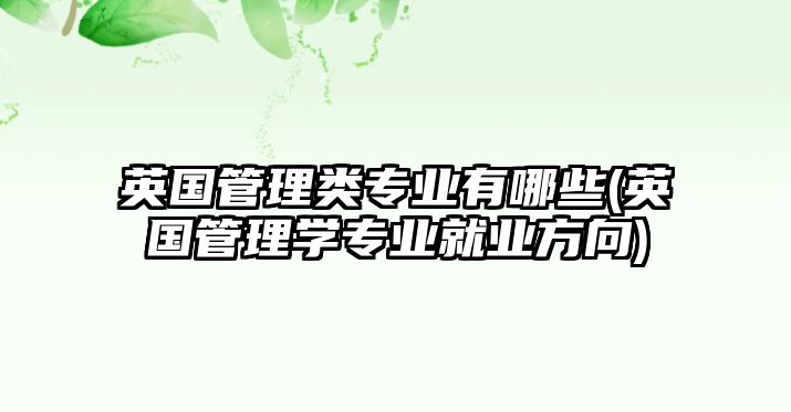 英國(guó)管理類專業(yè)有哪些(英國(guó)管理學(xué)專業(yè)就業(yè)方向)