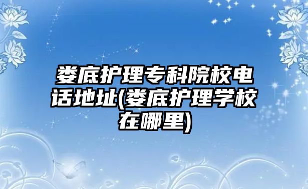 婁底護理專科院校電話地址(婁底護理學校在哪里)