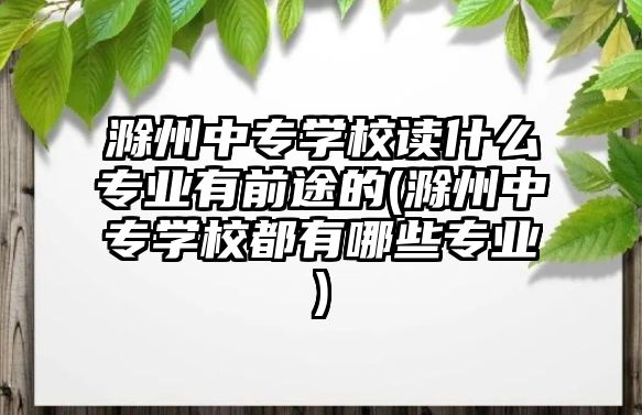 滁州中專學校讀什么專業(yè)有前途的(滁州中專學校都有哪些專業(yè))