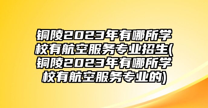 銅陵2023年有哪所學校有航空服務專業(yè)招生(銅陵2023年有哪所學校有航空服務專業(yè)的)