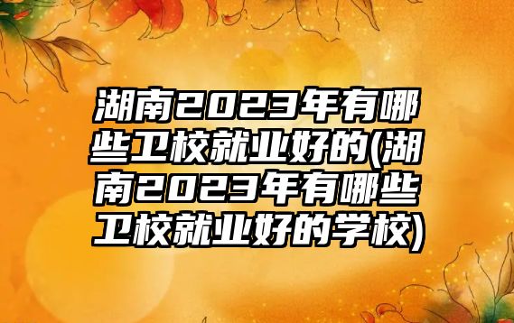 湖南2023年有哪些衛(wèi)校就業(yè)好的(湖南2023年有哪些衛(wèi)校就業(yè)好的學(xué)校)