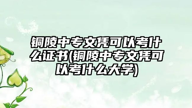 銅陵中專文憑可以考什么證書(銅陵中專文憑可以考什么大學)