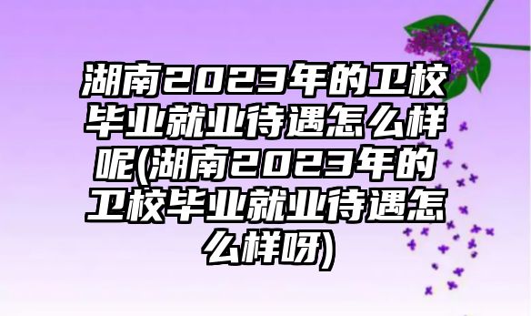 湖南2023年的衛(wèi)校畢業(yè)就業(yè)待遇怎么樣呢(湖南2023年的衛(wèi)校畢業(yè)就業(yè)待遇怎么樣呀)