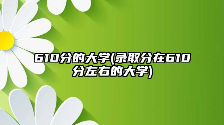 610分的大學(xué)(錄取分在610分左右的大學(xué))