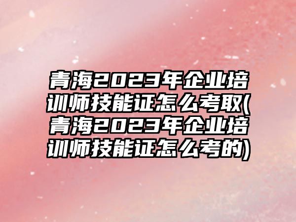 青海2023年企業(yè)培訓(xùn)師技能證怎么考取(青海2023年企業(yè)培訓(xùn)師技能證怎么考的)