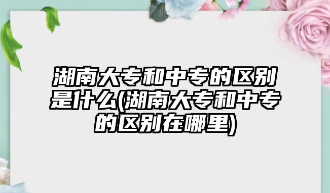 湖南大專和中專的區(qū)別是什么(湖南大專和中專的區(qū)別在哪里)