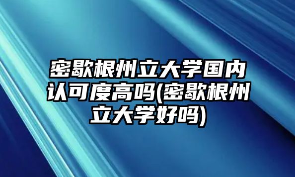 密歇根州立大學(xué)國內(nèi)認(rèn)可度高嗎(密歇根州立大學(xué)好嗎)