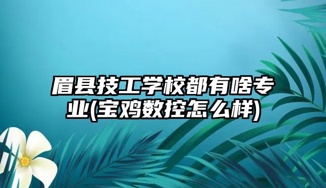 眉縣技工學(xué)校都有啥專業(yè)(寶雞數(shù)控怎么樣)