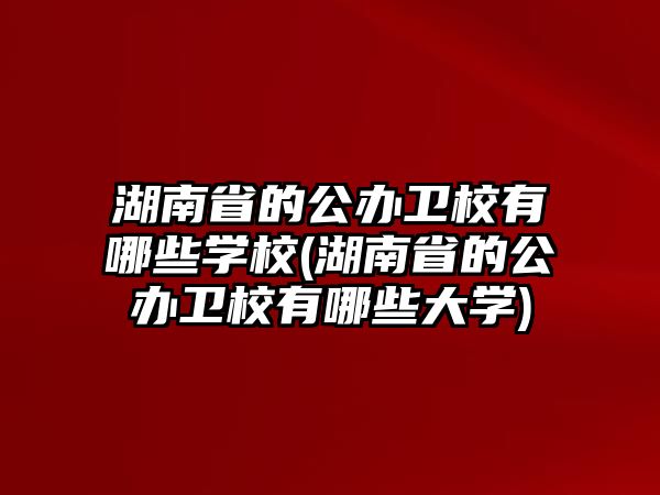 湖南省的公辦衛(wèi)校有哪些學校(湖南省的公辦衛(wèi)校有哪些大學)