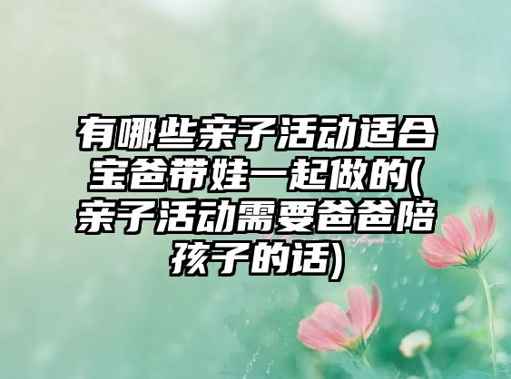 有哪些親子活動(dòng)適合寶爸帶娃一起做的(親子活動(dòng)需要爸爸陪孩子的話)