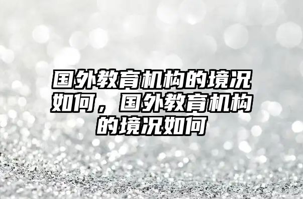 國外教育機(jī)構(gòu)的境況如何，國外教育機(jī)構(gòu)的境況如何