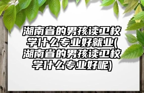 湖南省的男孩讀衛(wèi)校學什么專業(yè)好就業(yè)(湖南省的男孩讀衛(wèi)校學什么專業(yè)好呢)