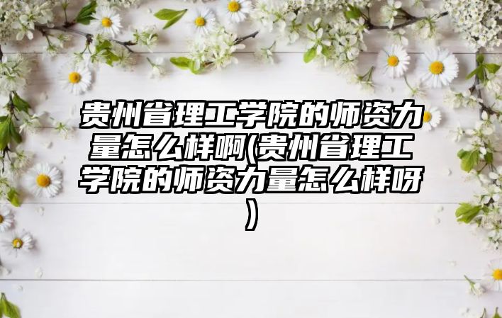 貴州省理工學院的師資力量怎么樣啊(貴州省理工學院的師資力量怎么樣呀)