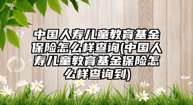 中國人壽兒童教育基金保險怎么樣查詢(中國人壽兒童教育基金保險怎么樣查詢到)