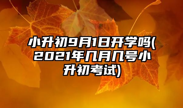 小升初9月1日開學嗎(2021年幾月幾號小升初考試)