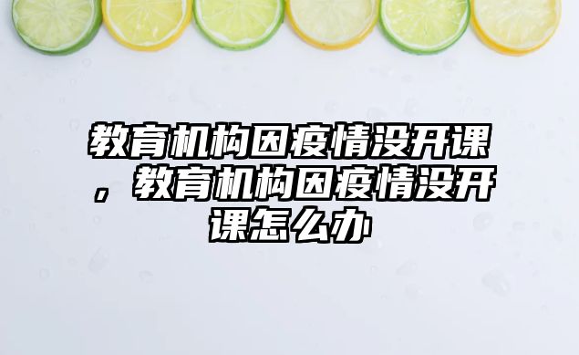 教育機構(gòu)因疫情沒開課，教育機構(gòu)因疫情沒開課怎么辦