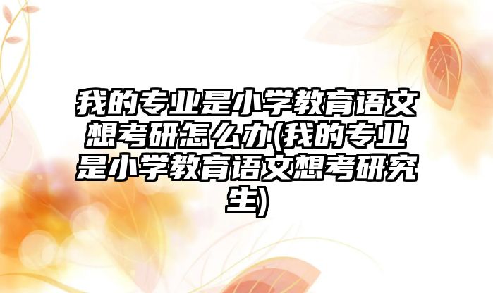 我的專業(yè)是小學(xué)教育語文想考研怎么辦(我的專業(yè)是小學(xué)教育語文想考研究生)